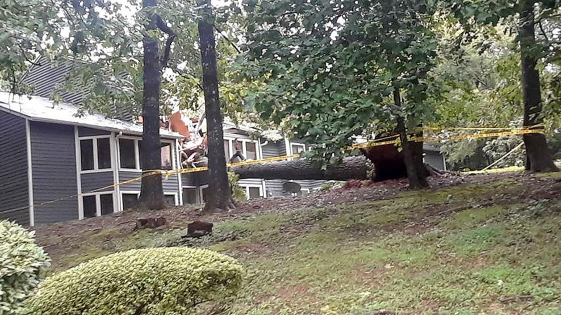 Storms cause damage throughout County News
