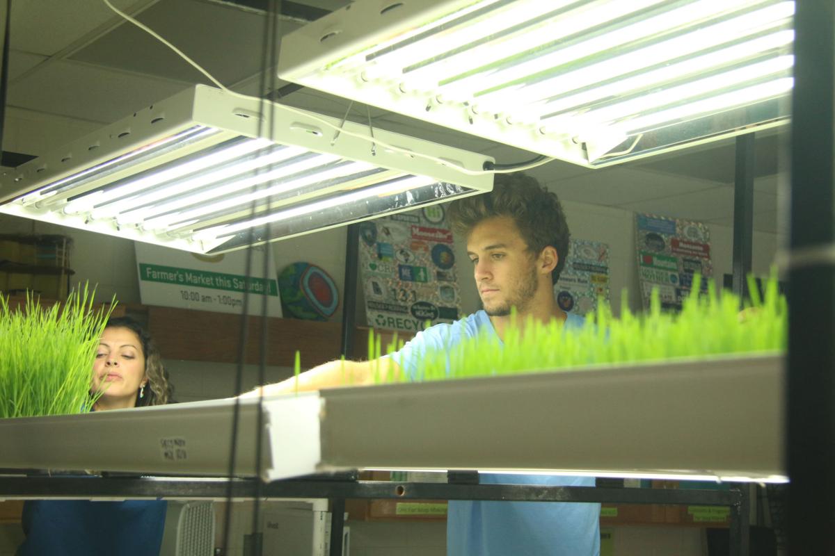 friendly aquaponics: commercial and home-scale fish and