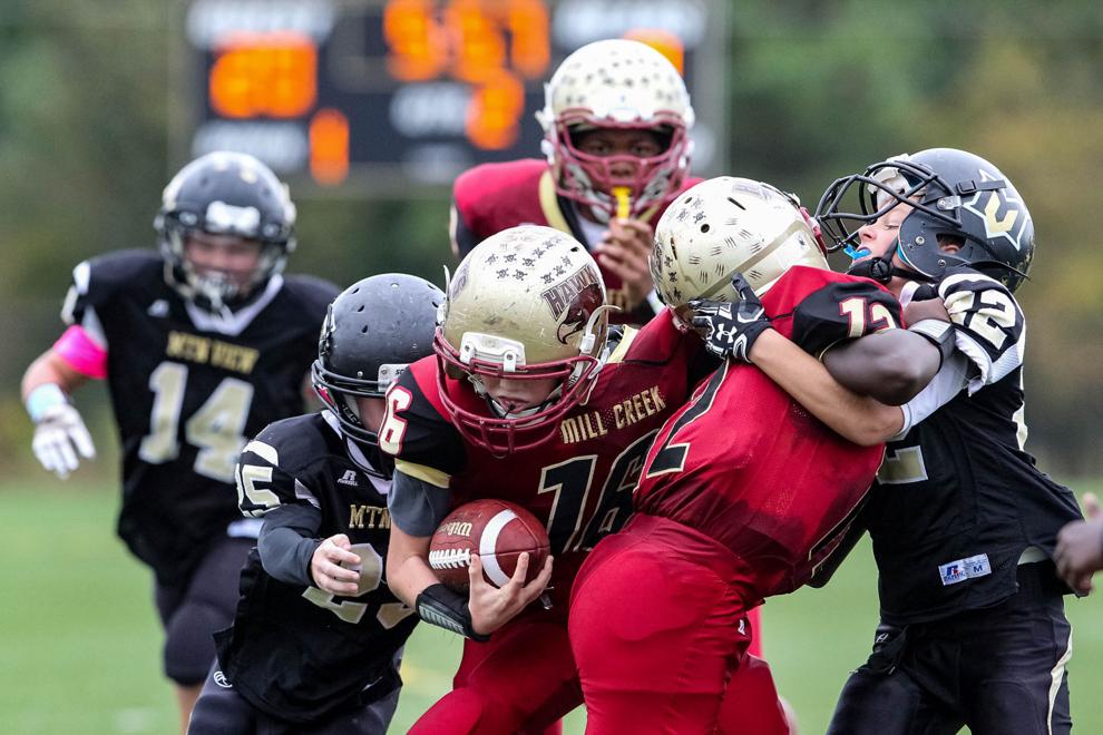 Веста gfl 11 Веста gfl 11