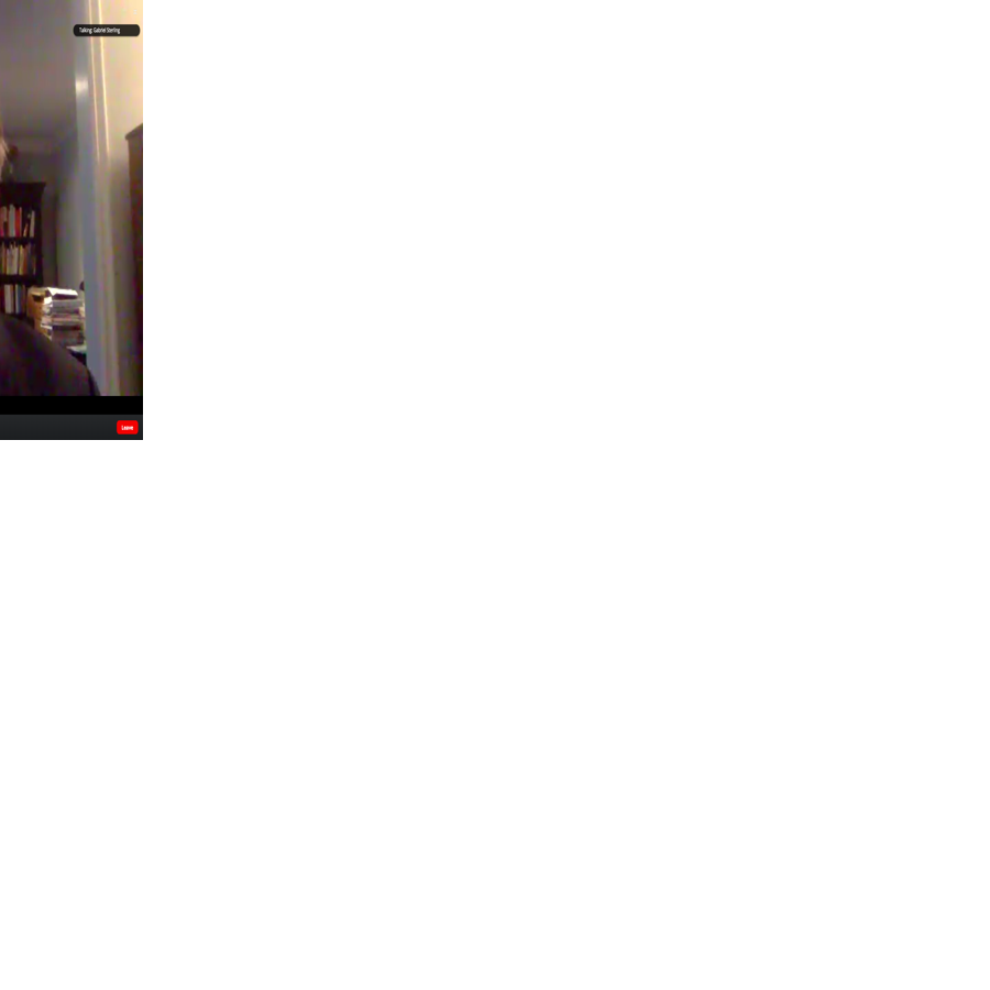 Gabriel Sterling from Ga Secretary of State's Office Zoom press conference