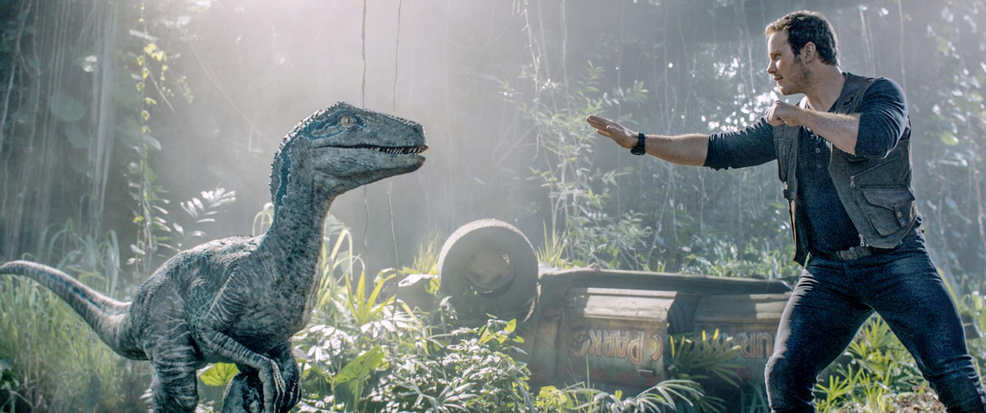 chris pratt velociraptor