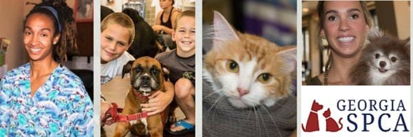 spca low cost vaccinations