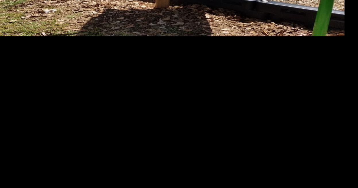 PHOTOS Archer High School student installs libraries in Lawrenceville