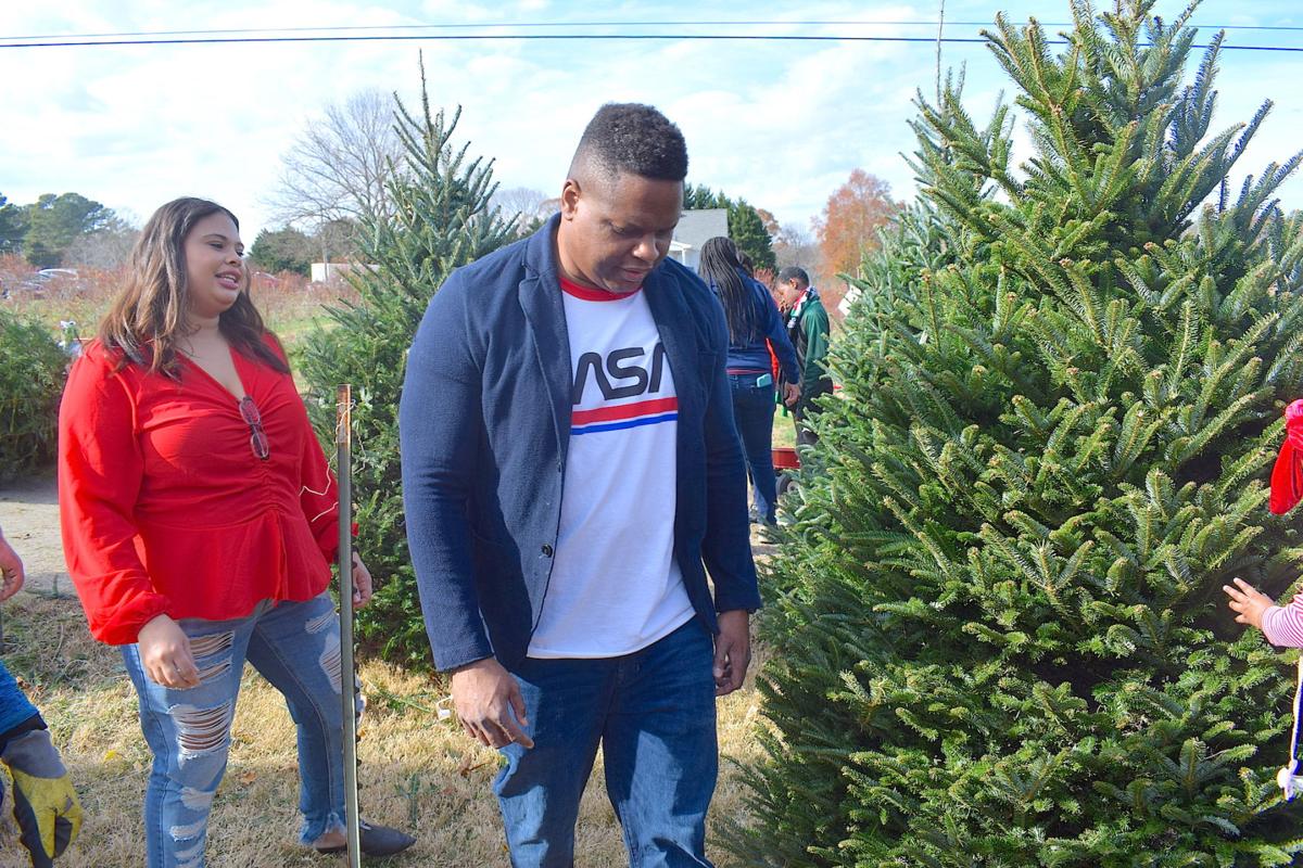 Picking And Cutting Down Christmas Trees Remains Family Tradition At Thompson S Tree Farm News Gwinnettdailypost Com