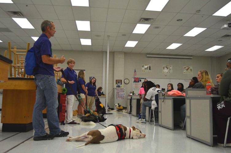 Therapy dogs visit Grayson Tech students | News | gwinnettdailypost.com