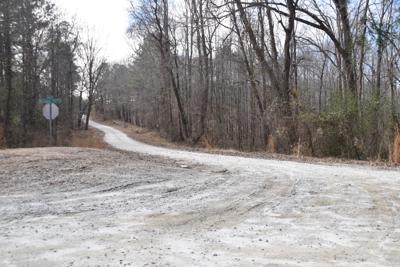 PROGRESS: Rowen generating international interest in eastern Gwinnett County