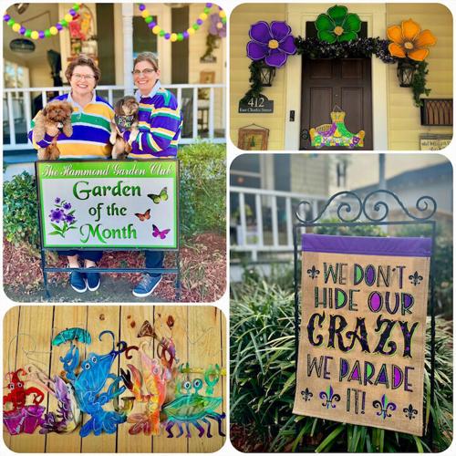 hammond mardi gras store