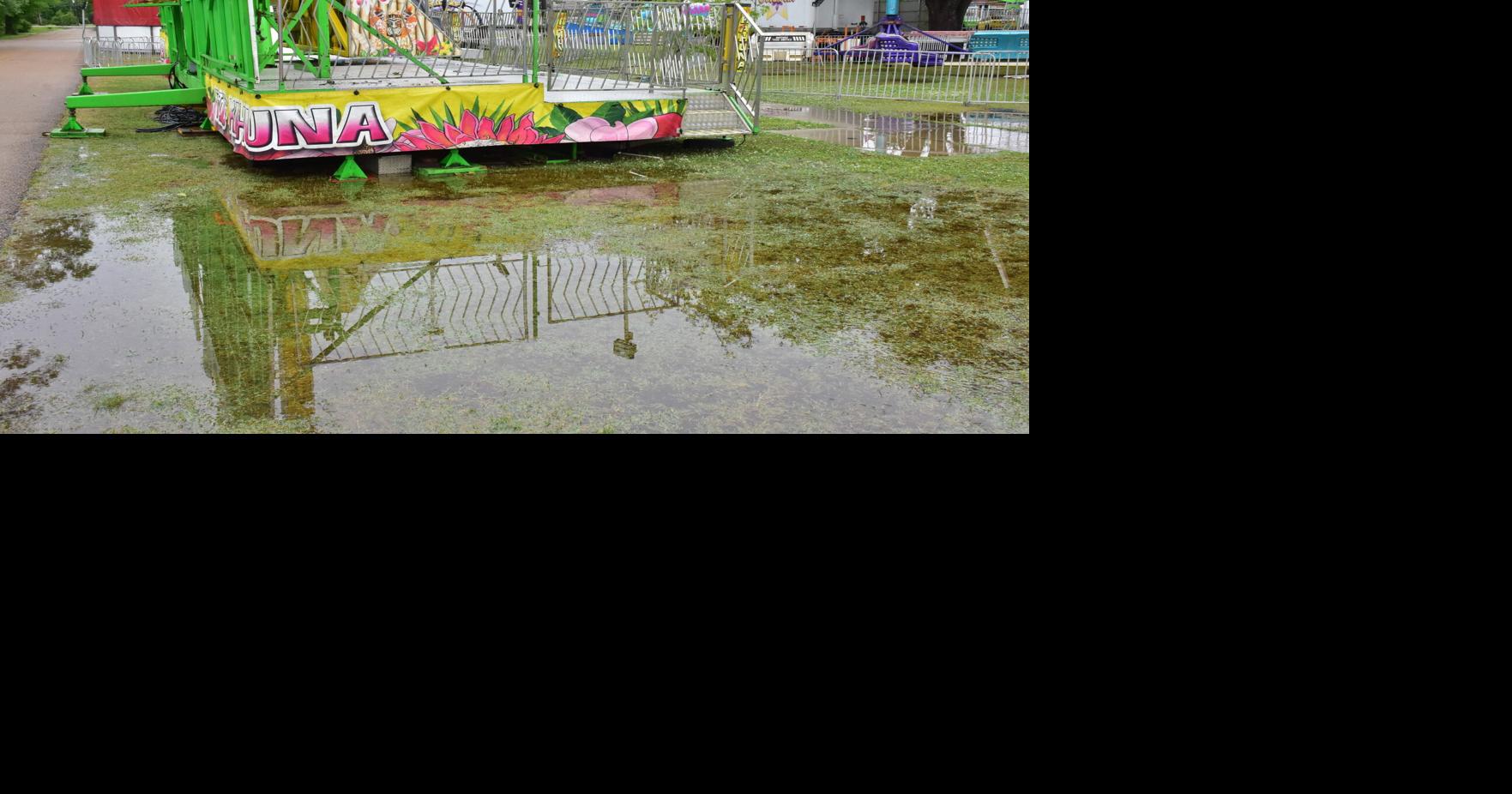 Strawberry Fest to open Friday News