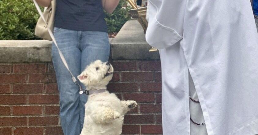 Holy Ghost Church blesses pets
