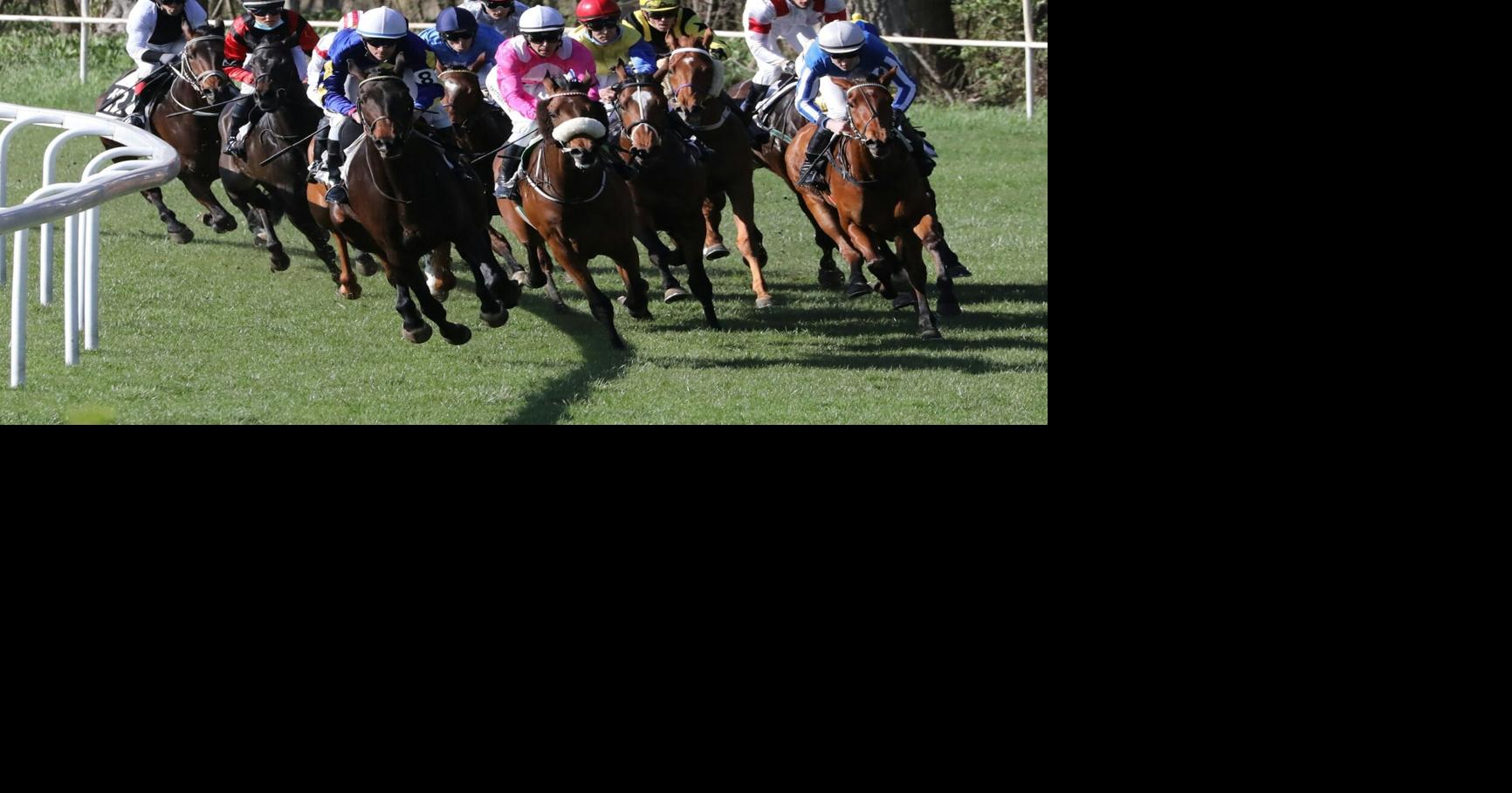 A Louisiana Fan’s Guide to Horse Racing Odds During Big Race Season