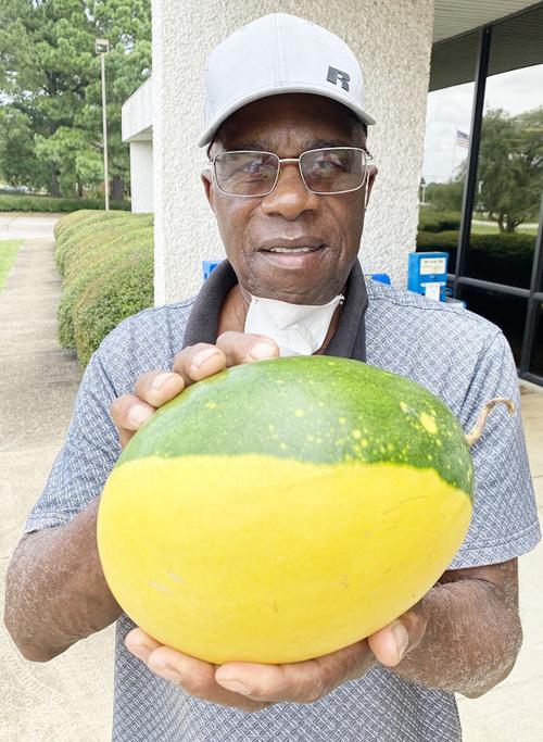 Unusual watermelon