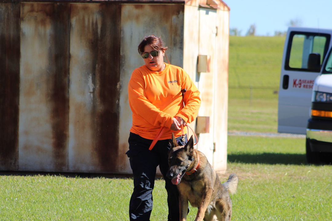 vineyard vines german shepherd shirt