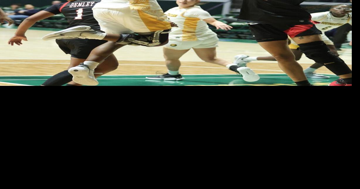 Lamar overcomes Lady Lions’ best defensive efforts