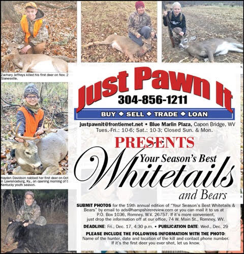 Whitetails and Bears