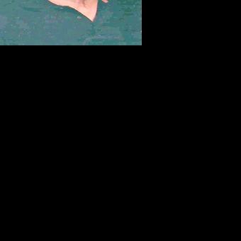 Robert F. Riffle, Jr | Obituaries | hampshirereview.com