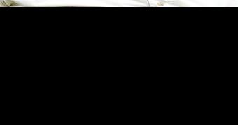 James Y. White - Vimarsana News