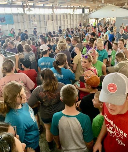 Check-in at the 2022 Hampshire County Fair