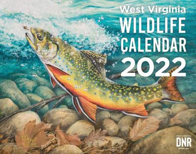 Wvu Calendar 2023 Wvdnr Seeking Wildlife Paintings For 2023 Calendar | Sports |  Hampshirereview.com