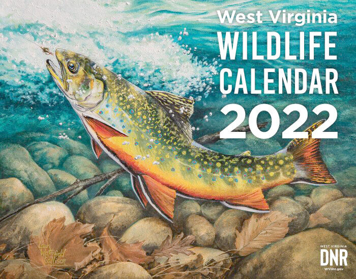 WVDNR seeking wildlife paintings for 2023 calendar | Sports | hampshirereview.com WVDNR seeking wildlife paintings for 2023 calendar | Sports | hampshirereview.com