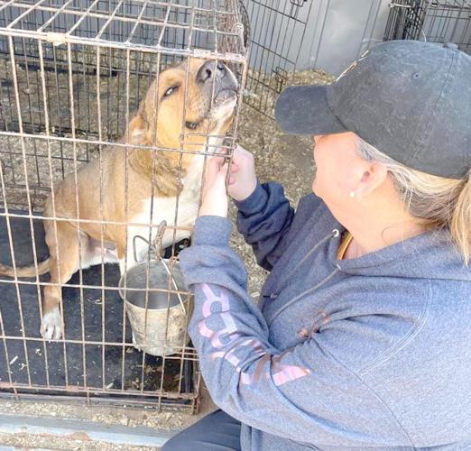 A Life Of Hell And Horror News Hampshirereview Com