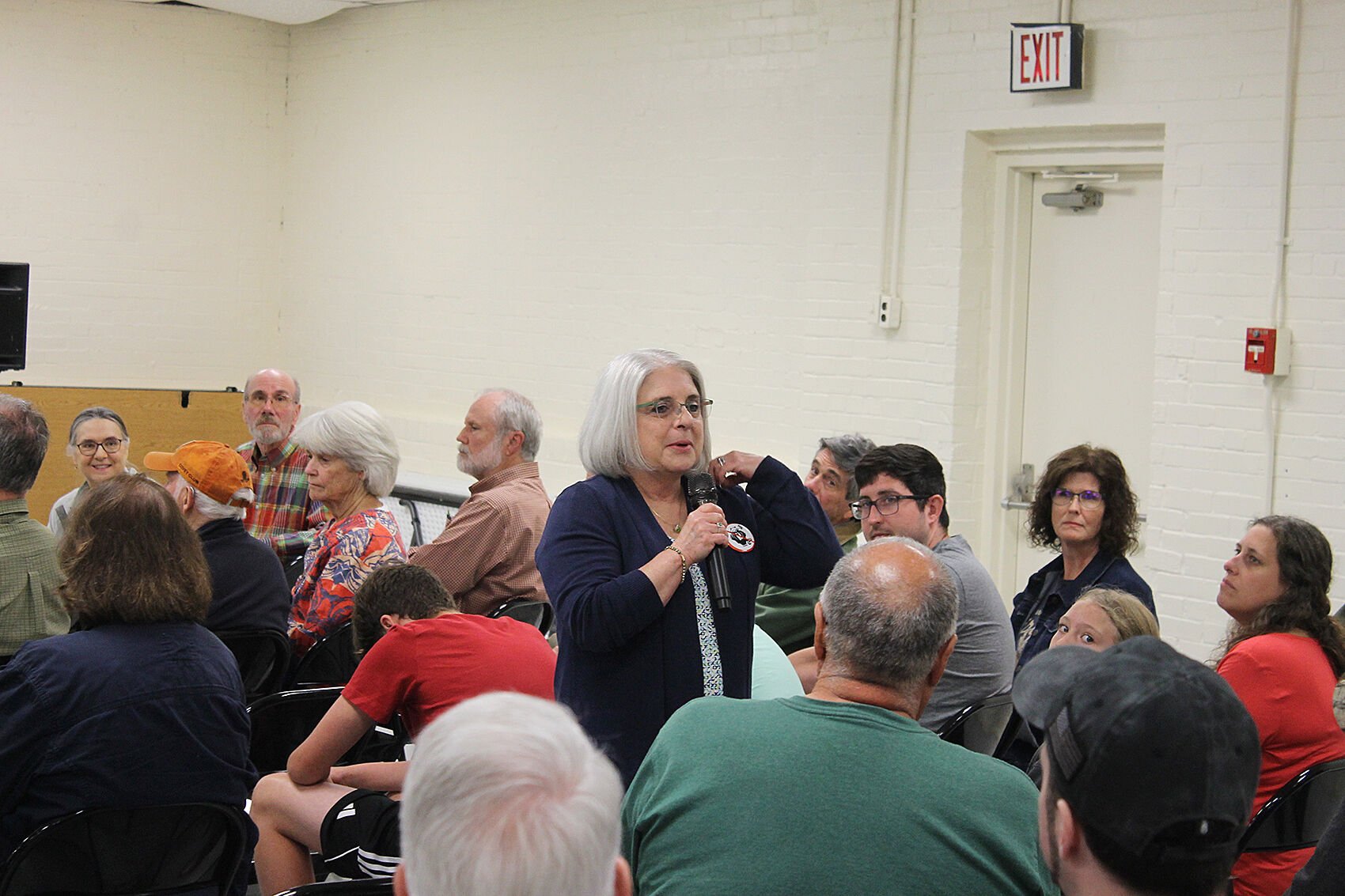 Romney Residents Rally Against Proposed Transmission Line