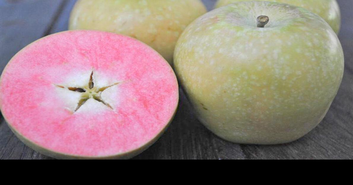 7 ‘lost’ apple varieties located Farm