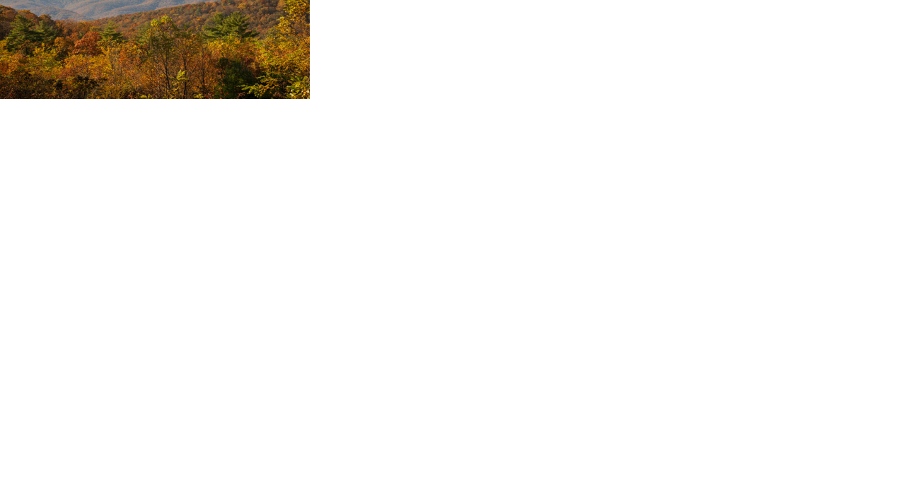 West Virginia continues to see best fall colors of the decade - Vimarsana News