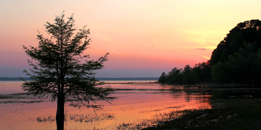 How Toledo Bend became a trophy destination Sports