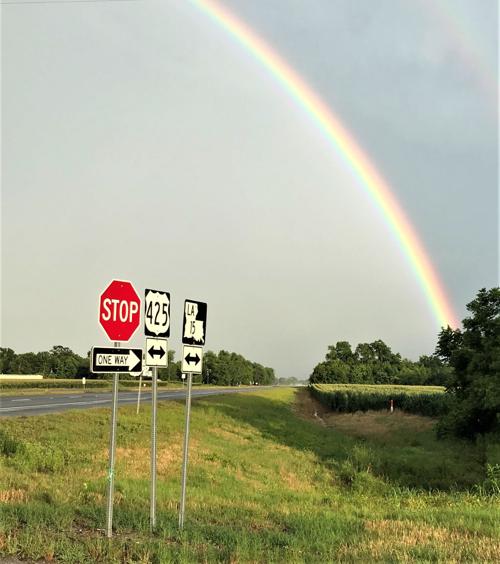 Rainbow