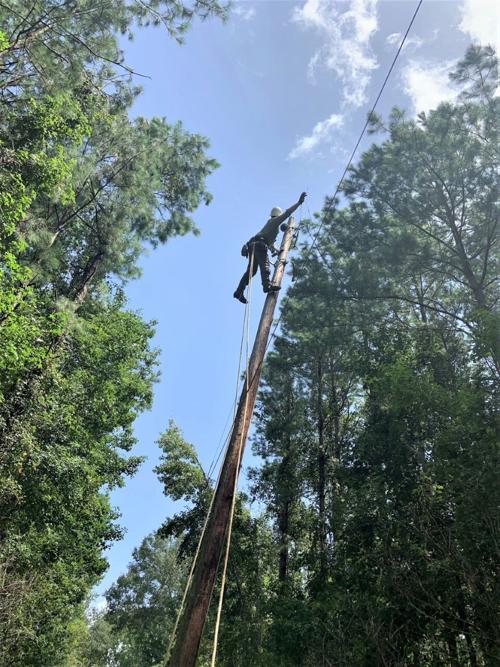 Storm Recovery