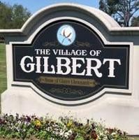 Daniels appointed Gilbert alderwoman