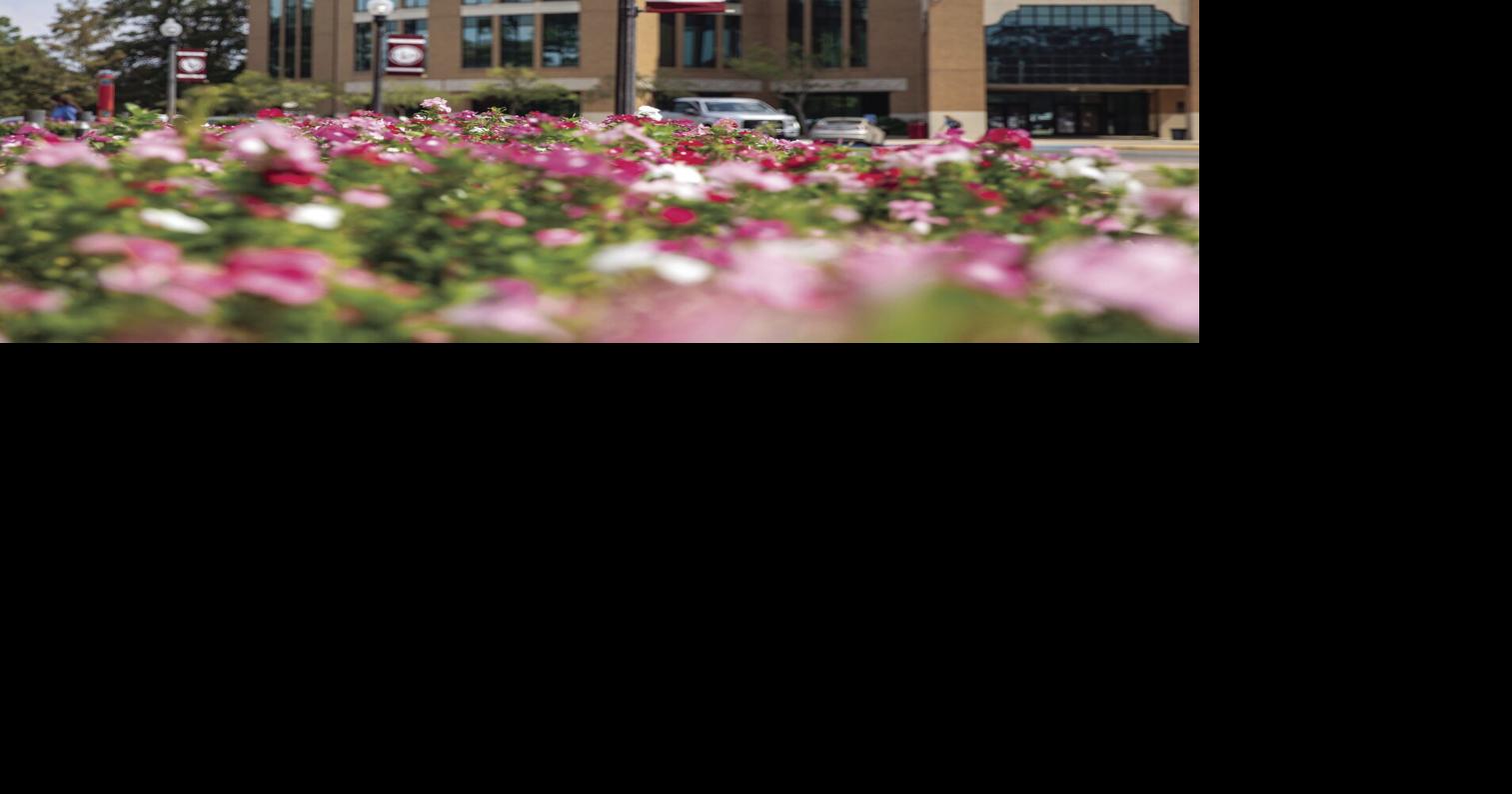 ULM fall 2020 enrollment increases Local/State Headlines