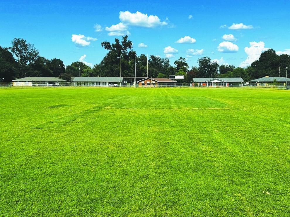 Gridiron Landscape