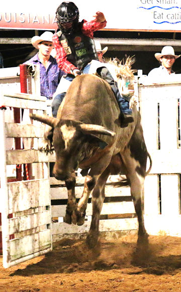 Deep South PRCA Rodeo canceled for this year, back in 2021