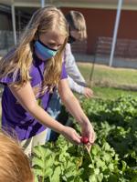 Gilbert students learn life skills through gardening
