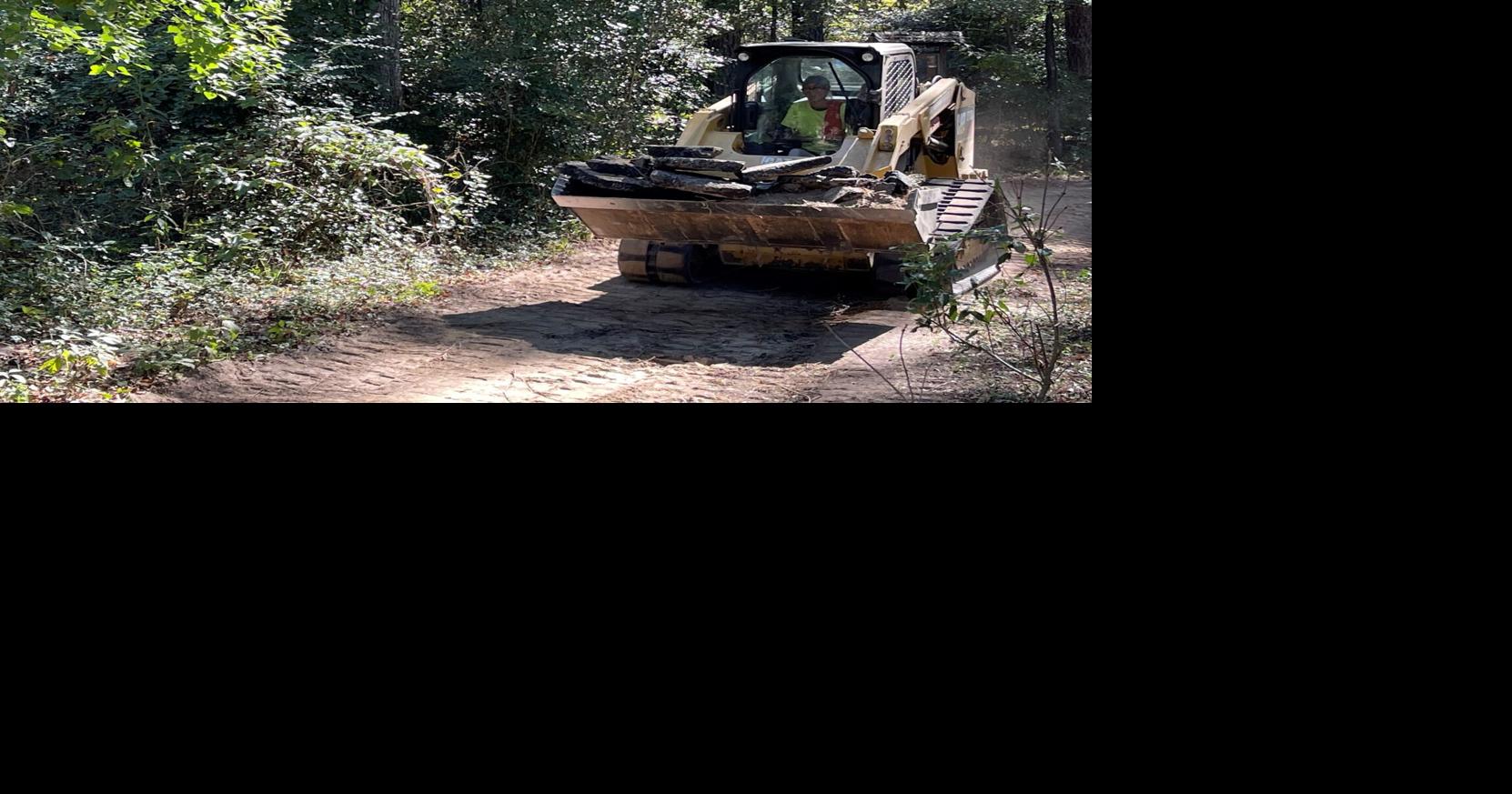 More than 1,000 trees to be cut at Kiroli Park | Local/State Headlines ...