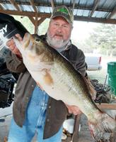 Brown hooks 11 pound bass while fishing for crappie