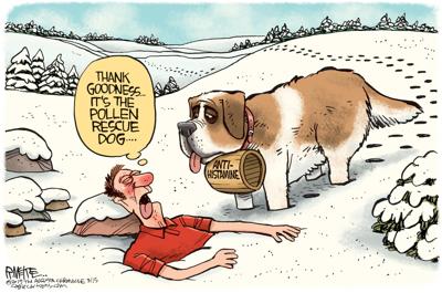 McKee cartoon: Pollen rescue dog | Article McKee cartoon: Pollen rescue dog | Article
