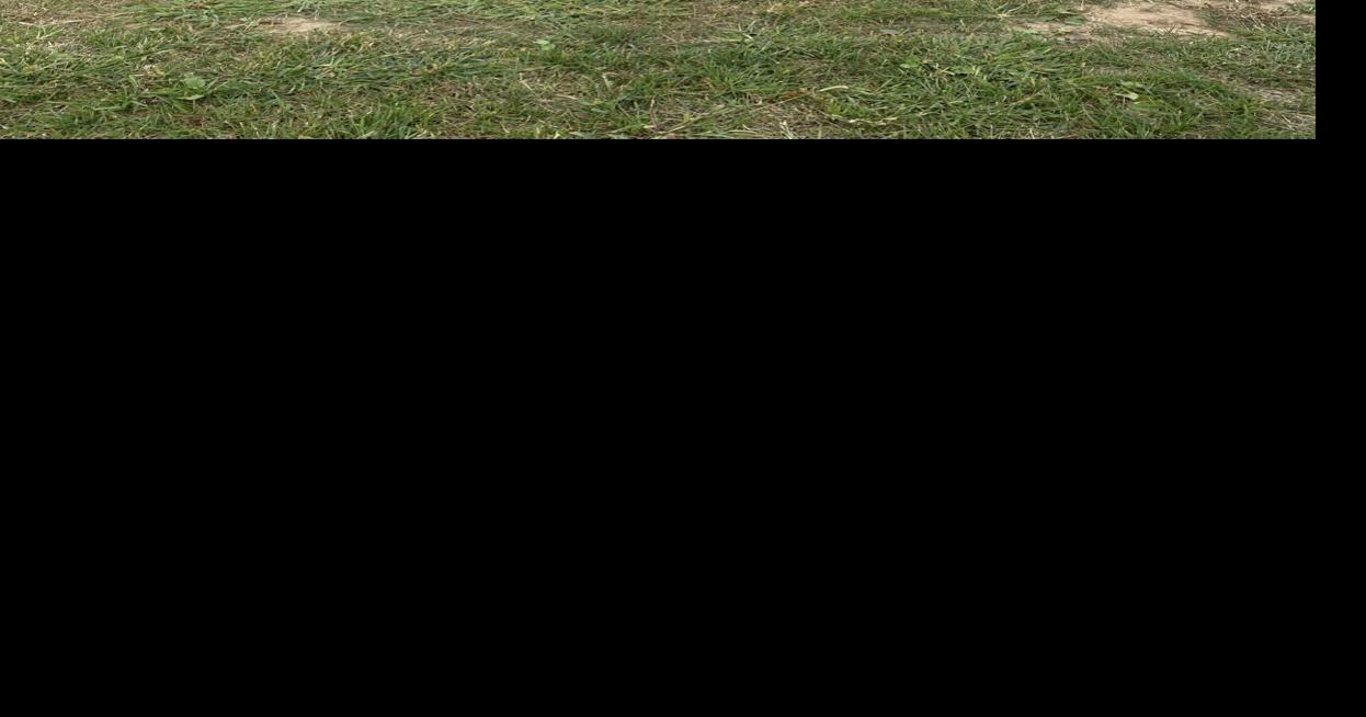 Committee makes the case for 3.5 million annual stormwater tax News