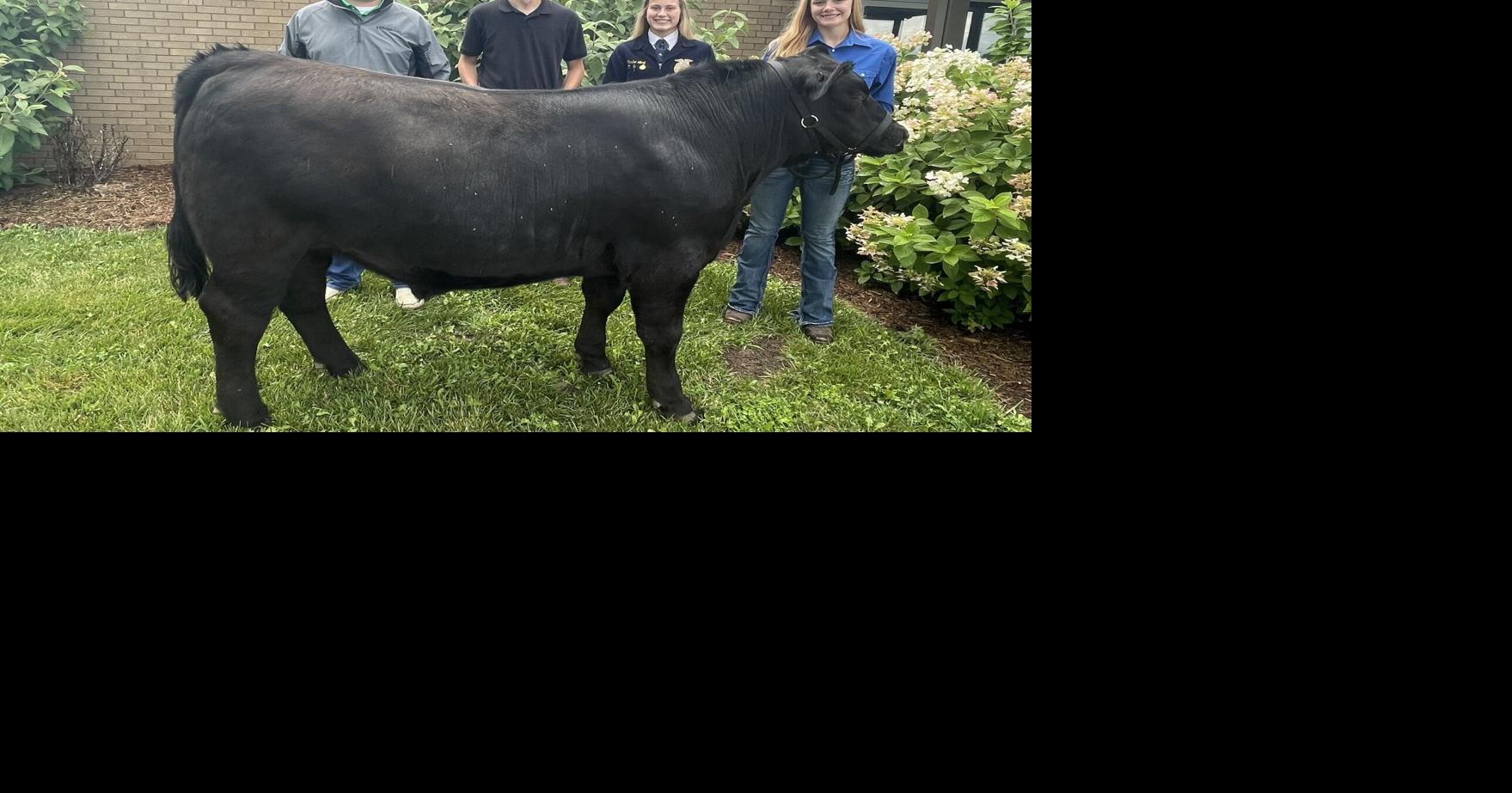 TPNB Bank helps boost FFA beef program Salt River Journal