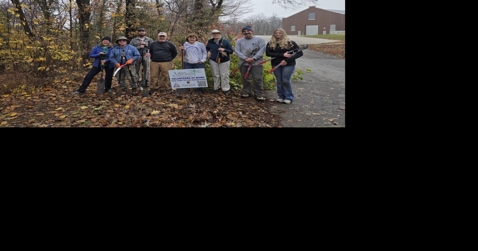 Bush honeysuckle removed from park