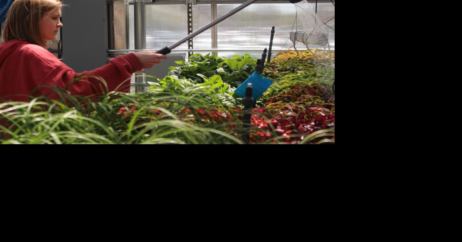 Greenhouse sale on Saturday brings beautiful showcase of students