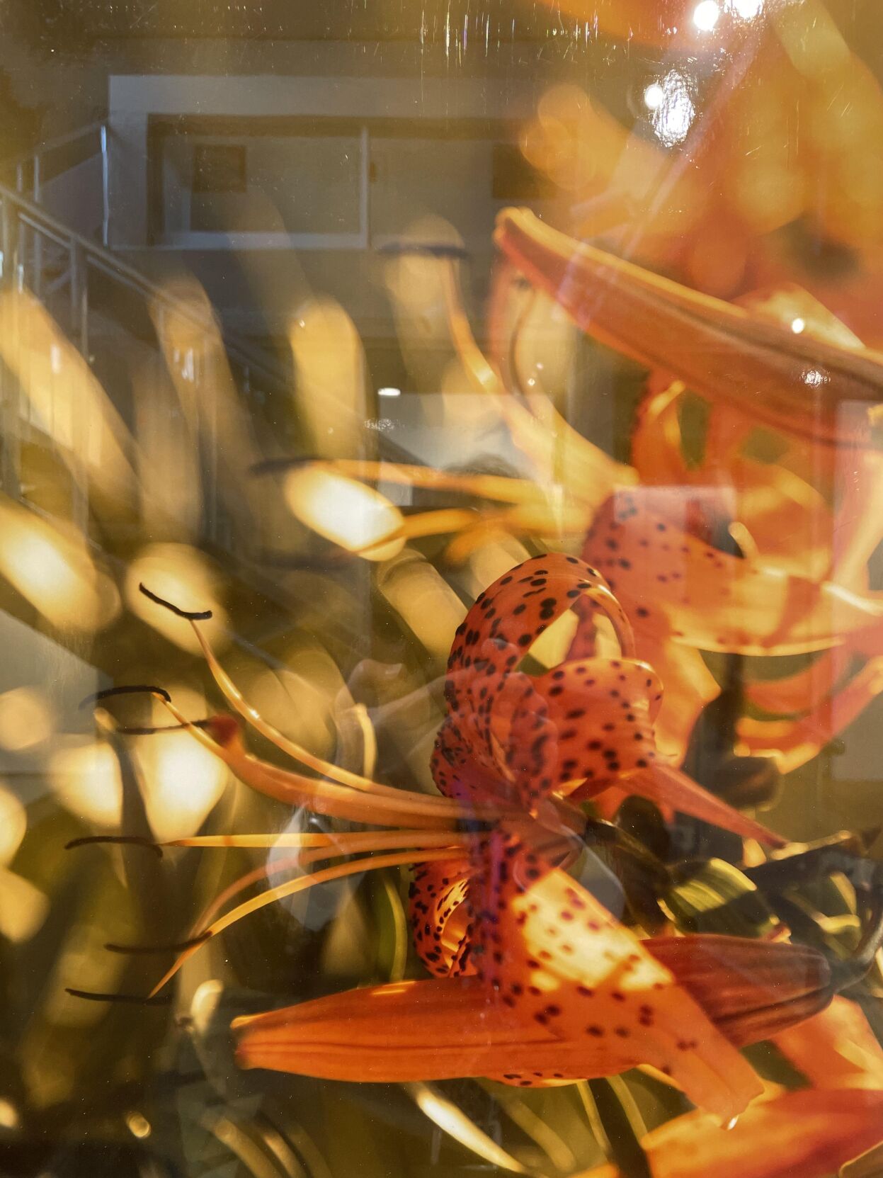 CulverStockton College presents Biennial Faculty Art Exhibit Arts