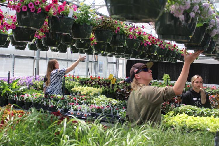 Greenhouse sale on Saturday brings beautiful showcase of students