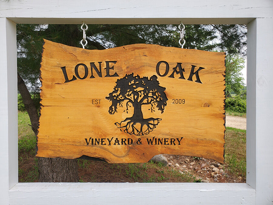 Oak vineyard 2024