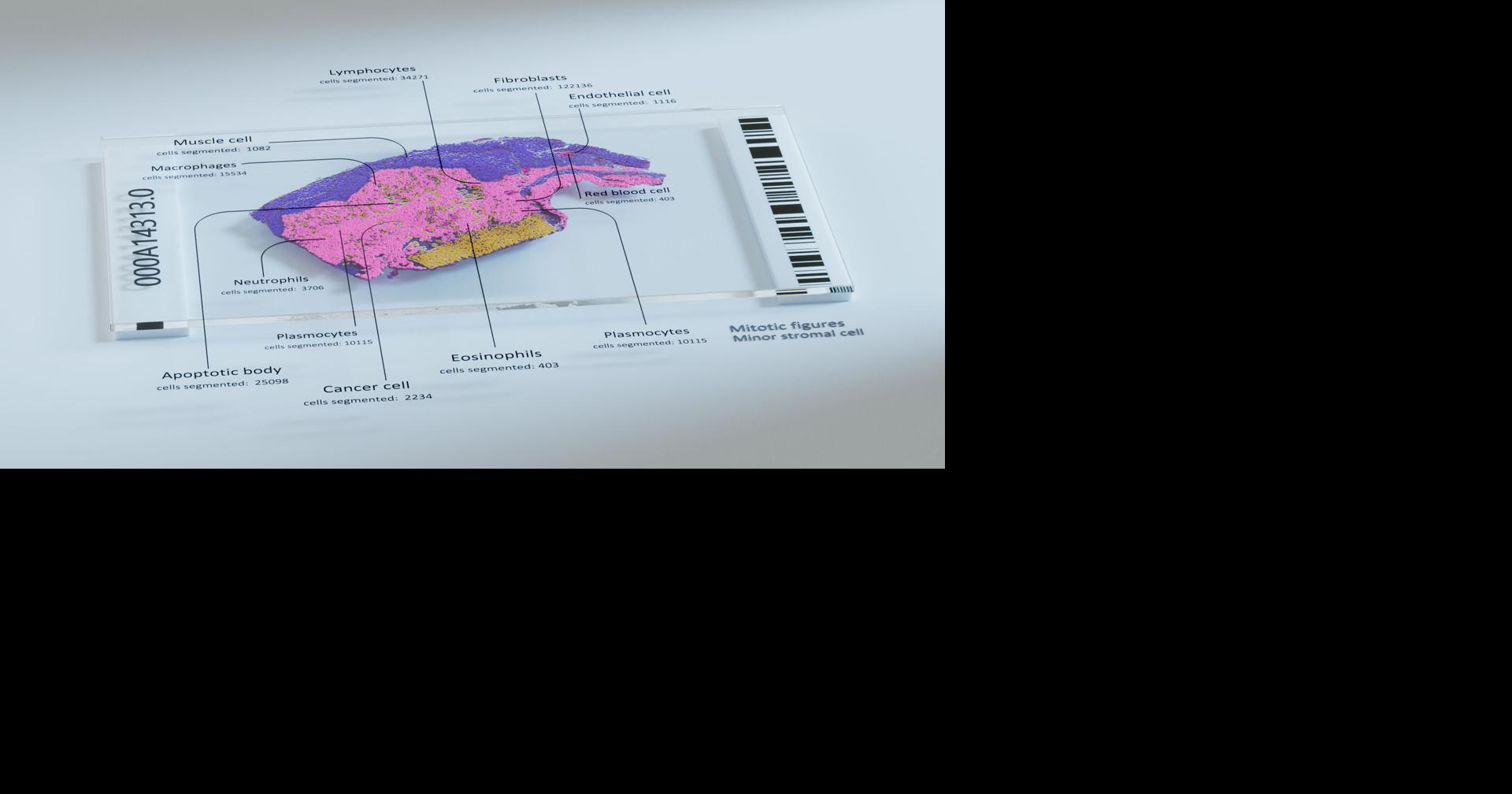 Owkin's Specialized Biological AI Agent Pathology Explorer Launches with Anthropic's Claude for Healthcare and Life Sciences