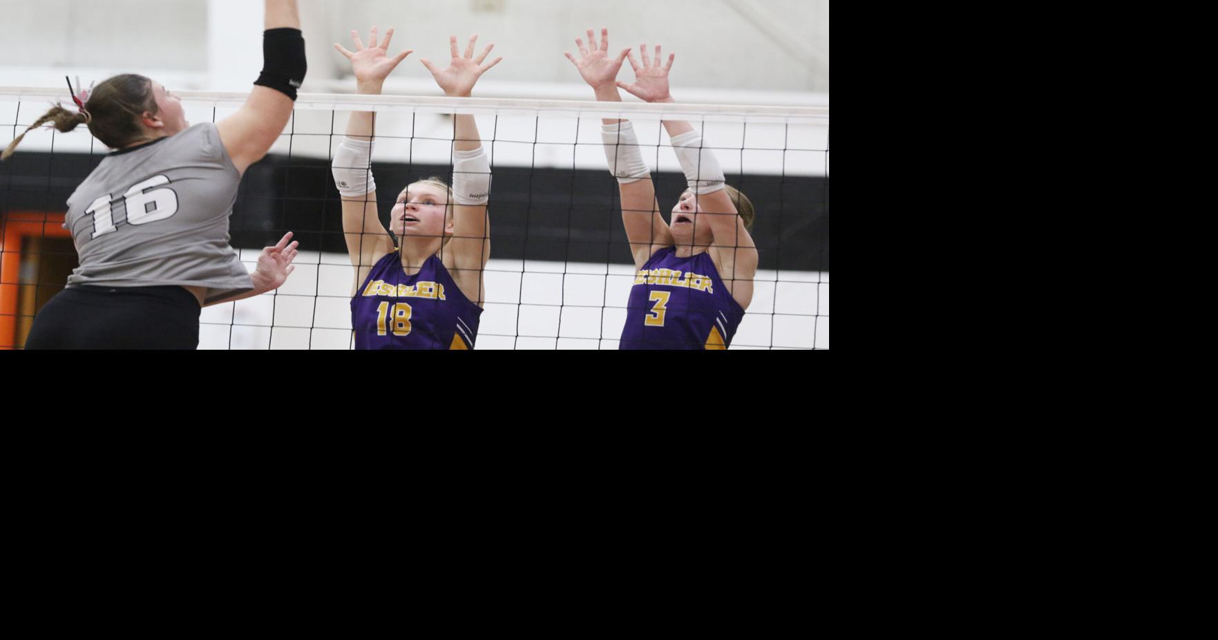 Deshler captures third-place match in TVC tournament | Sports