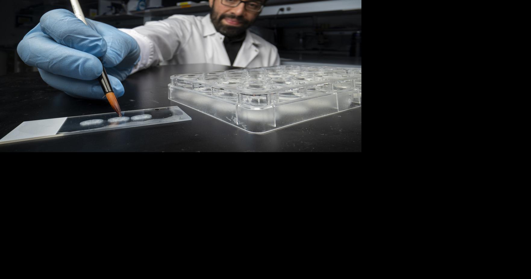 'Memory manipulation is inevitable': How rewriting memory in the lab might one day heal humans