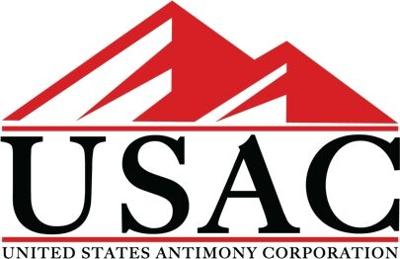 Sustainable Urban Living: Greener Cities for a Brighter Future