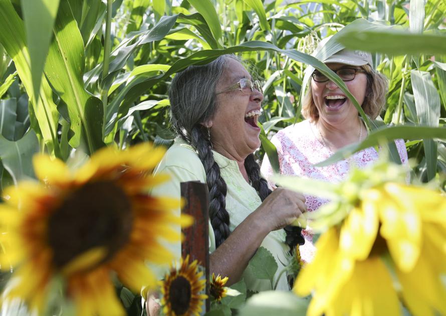 Trust, friendship lead to regrowth of sacred corn